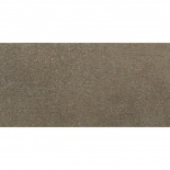 BRONX TAUPE 250x500