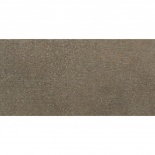 BRONX TAUPE 250x500